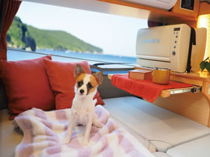 クーラー付きなのでワンちゃん連れも安心